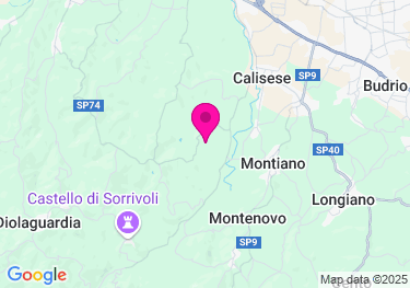 Clicca per visualizzare su Google Maps
