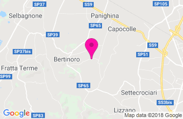 Guarda la mappa