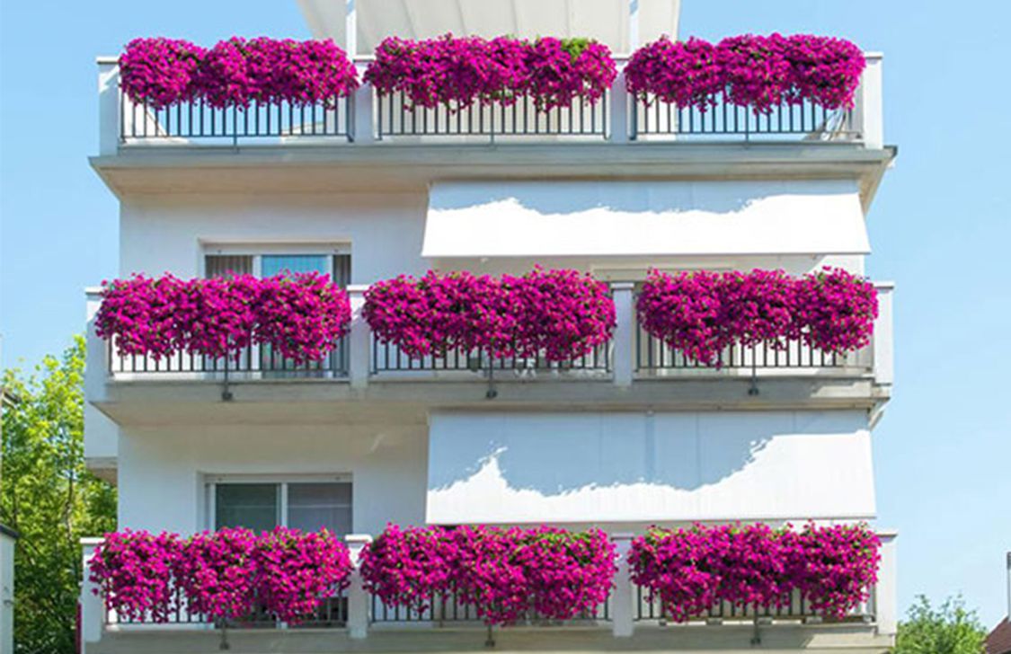 Residence Ola*** - Esterno