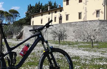 16 Giugno: Radici, bike tour tra alberi secolari e radici fuori dal tempo