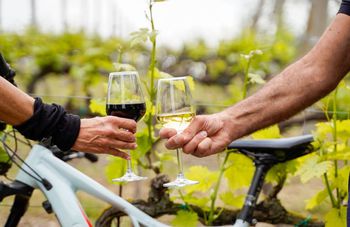 28 Aprile: Romagna e Sangiovese, bike trekking tra cantine e concerto per Vin-ile