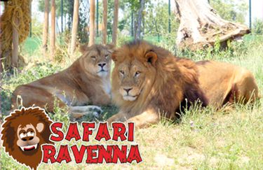 Safari Ravenna - Leoni