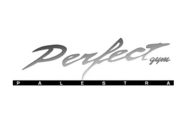 Perfect Gym - Logo
