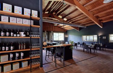 Cantina Glicine - Interno