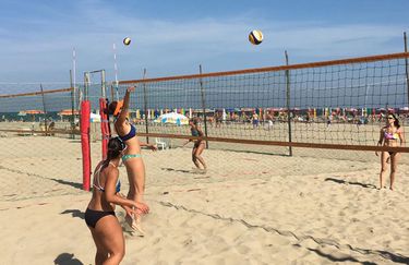 White Beach - Beach Volley