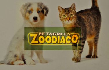 Zoodiaco - logo