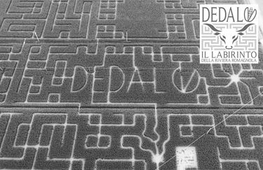Labirinto di Dedalo - Labirinto