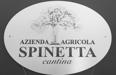 Spinetta - Logo