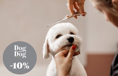Dog And Dog - Sconto Dog And Dog - Sconto